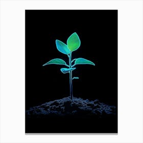 Neon Green Plant On Black Background Canvas Print