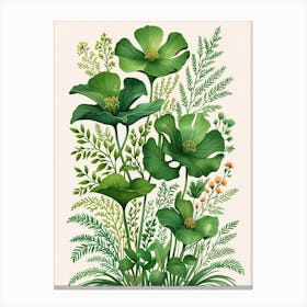 Botanical Illustration Canvas Print