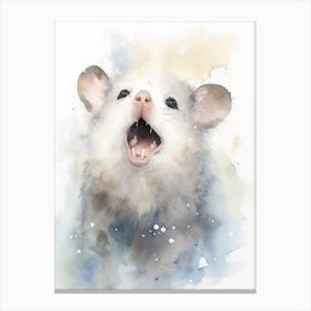 Light Watercolor Painting Of A Nocturnal Possum 3 Canvas Print