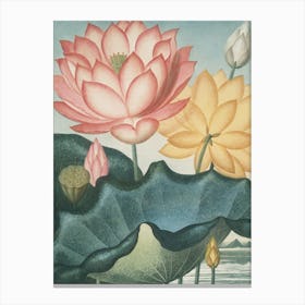 Lotus Flower 4 Canvas Print