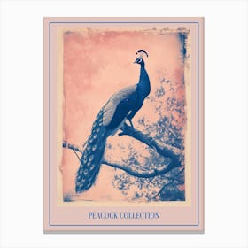 Peacock In The Tree Cyanotype Inspired 7 Poster Canvas Print