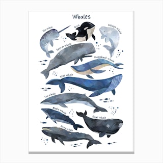 Watercolour Whales Canvas Print