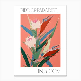 Bird Of Paradise In Bloom Flowers Bold Illustration 2 Canvas Print