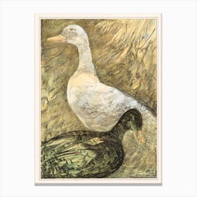 Two Standing Ducks (1878–1909), Theo Van Hoytema Canvas Print