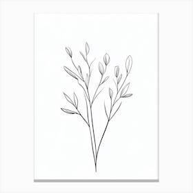 Twigs Canvas Print