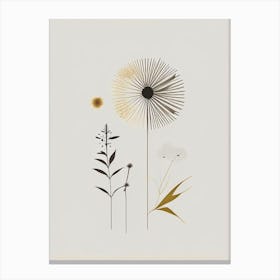 Dandelion Spices And Herbs Retro Minimal 2 Canvas Print