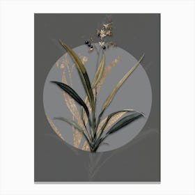 Vintage Botanical Flax Lilies on Circle Gray on Gray n.0252 Canvas Print