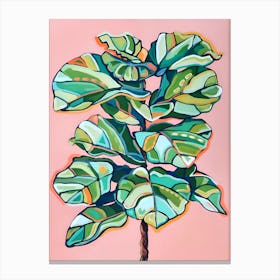 Fig Tree Canvas Print