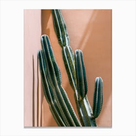Cactus against pink wall in Fes, Morocco | Colorful travel photography Canvas Print