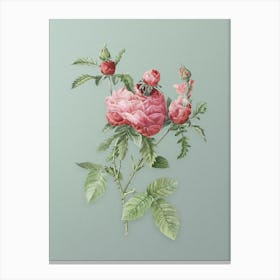 Vintage Cabbage Rose Botanical Art on Mint Green n.0526 Canvas Print