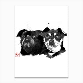 Two friends Canvas Print