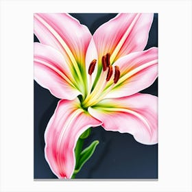 Pink Lily 7 Canvas Print