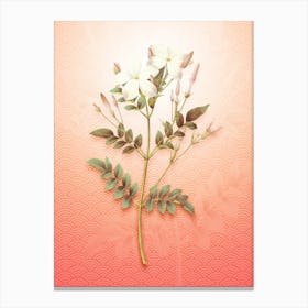 Spanish Jasmine Vintage Botanical in Peach Fuzz Seigaiha Wave Pattern n.0132 Canvas Print