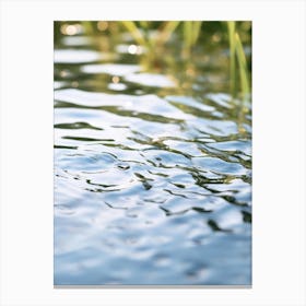 Reflection Of Water In The Lake Canvas Print