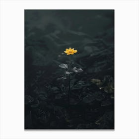 Single Yellow Flower In Water 2 Canvas Print