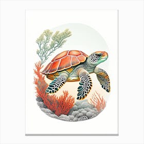 A Single Sea Turtle In Coral Reef, Sea Turtle Vintage 1 Canvas Print
