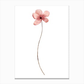 Single Pink Flower Canvas Print