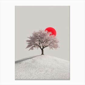 Cherry Blossom Tree 8 Canvas Print