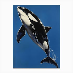 Orca Whale 8 Canvas Print