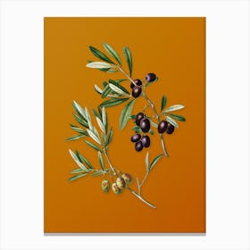 Vintage Olive Botanical on Sunset Orange n.0162 Canvas Print