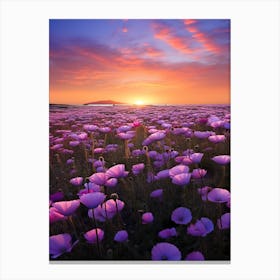 Sunset Field Of Poppies Canvas Print
