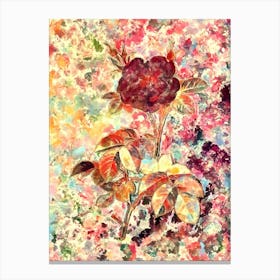 Impressionist White Rose Botanical Painting in Blush Pink and Gold n.0034 Canvas Print