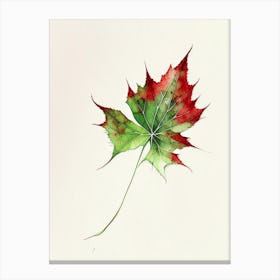 Virginia Creeper Leaf Minimalist Watercolour 3 Canvas Print
