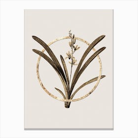 Gold Ring Boat Orchid Glitter Botanical Illustration n.0097 Canvas Print