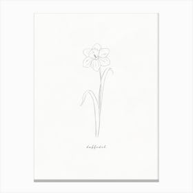 Daffodil Line Drawing Canvas Print