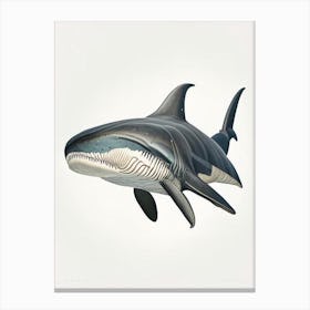 Basking Shark Vintage Canvas Print