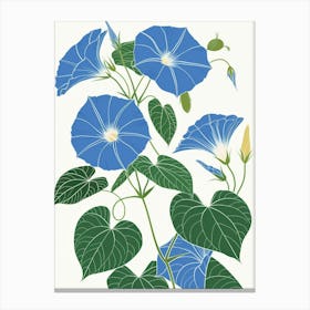 Morning Glory 1 Canvas Print