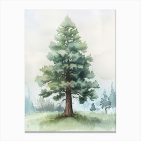 Sequoia Tree Atmospheric Watercolour Painting 6 Canvas Print