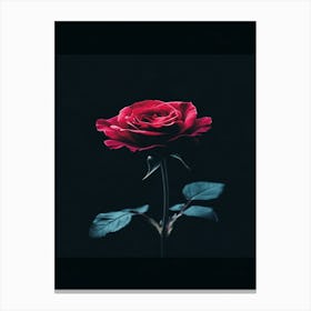 Rose Wallpaper 1 Canvas Print