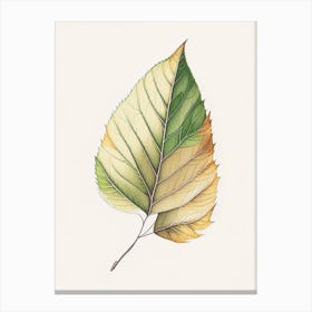 Birch Leaf Warm Tones 2 Canvas Print