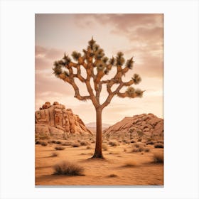  Photograph Of A Joshua Tree In Grand Canyon 4 Canvas Print