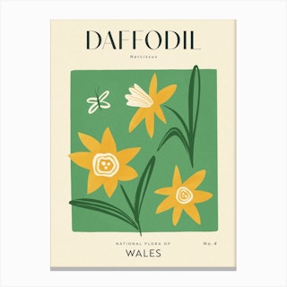 Vintage Green And Yellow Daffodil Flower Of Wales Canvas Print