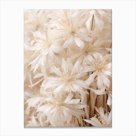 Boho Dried Flowers Agapanthus 1 Canvas Print