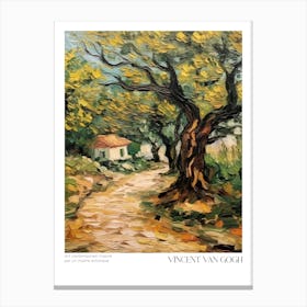 Olive Grove By Vincent Van Gogh Canvas Print