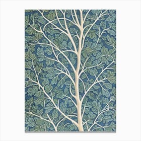 Poplar 2 tree Vintage Botanical Canvas Print