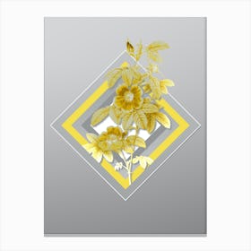 Botanical Single May Rose in Yellow and Gray Gradient n.350 Canvas Print
