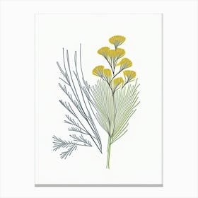 Fennel Seed Spices And Herbs Minimal Line Drawing 5 Canvas Print