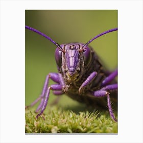 Purple Bug Canvas Print
