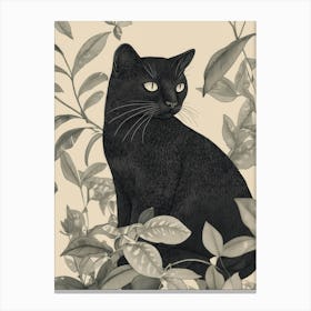 Vintage Black Cat Toile