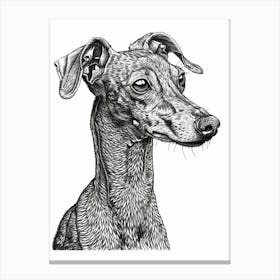 American Greyhound Dog Line Sketch 2 Canvas Print
