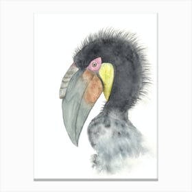 Hornbill bird Canvas Print