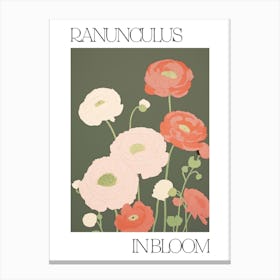Ranunculus In Bloom Flowers Bold Illustration 4 Canvas Print