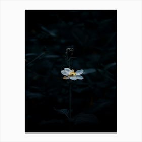 Dark Flower 37 Canvas Print