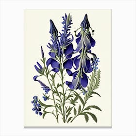 Wild Indigo Wildflower Vintage Botanical Canvas Print