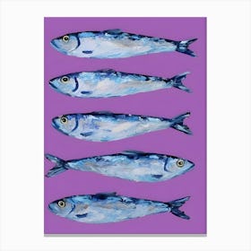 Sardines Canvas Print