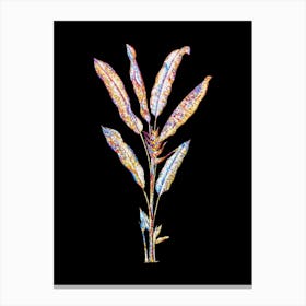 Stained Glass Parrot Heliconia Mosaic Botanical Illustration on Black n.0114 Canvas Print
